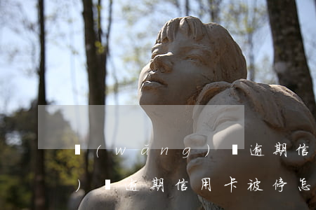 網(wǎng)貸逾期 信用卡（網(wǎng)貸逾期信用卡被停怎么處理）