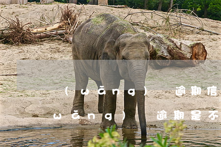 網(wǎng)貸逾期信用卡能做嗎-網(wǎng)貸逾期是不是不能辦信用卡