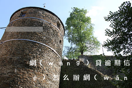 網(wǎng)貸逾期信用卡被凍結(jié)怎么辦(網(wǎng)貸有逾期信用卡會被凍結(jié)嗎)