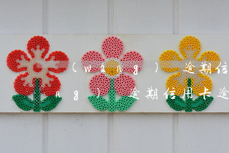 網(wǎng)貸逾期 信用卡逾期(網(wǎng)貸逾期信用卡逾期法院執(zhí)行還有可以下款的口子嗎)