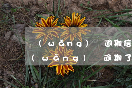 網(wǎng)貸逾期信用卡還能解凍嗎(網(wǎng)貸逾期了信用卡還能激活嗎)