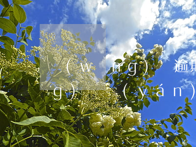 網(wǎng)貸逾期信用影響(網(wǎng)貸嚴(yán)重逾期對以后有什么影響)