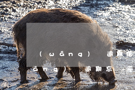 網(wǎng)貸逾期信用怎么查詢(網(wǎng)貸逾期忘記平臺(tái)了怎么查)