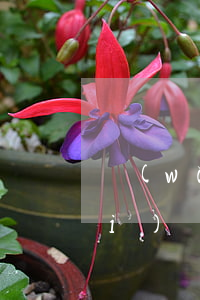 網(wǎng)貸逾期倆天有影響沒(méi)(網(wǎng)貸逾期一天影響大不大)