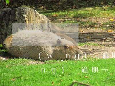 網(wǎng)貸逾期倆天要征信嘛(網(wǎng)貸逾期一個禮拜會上征信嗎)