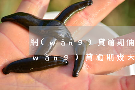 網(wǎng)貸逾期倆年了怎么還款(網(wǎng)貸逾期幾天還了之后)