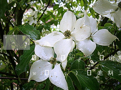 網(wǎng)貸逾期倆年會被判刑么(網(wǎng)貸逾期三年會不會被拘留)