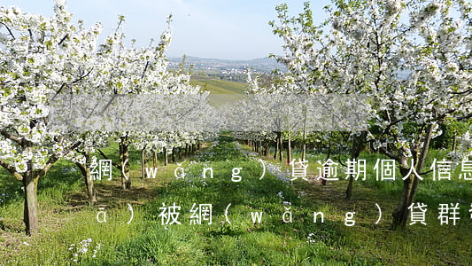 網(wǎng)貸逾期個人信息被群發(fā)(被網(wǎng)貸群發(fā)短信怎么辦)