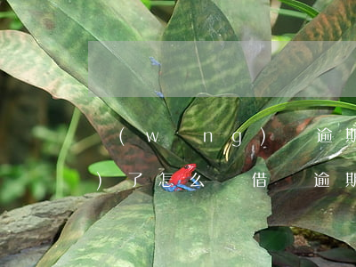網(wǎng)貸逾期借唄被關(guān)了怎么還(借唄逾期被關(guān)了還能重新開(kāi)通嗎)