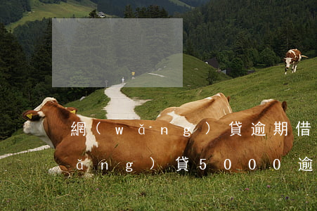 網(wǎng)貸逾期借款500元(網(wǎng)貸5000逾期時間長了怎么辦)