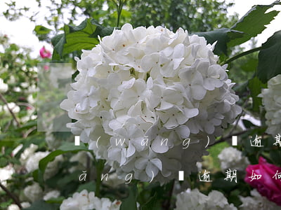 網(wǎng)貸逾期停息怎么解決(網(wǎng)貸逾期如何正確解決)