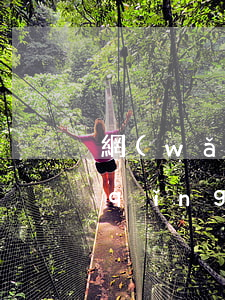 網(wǎng)貸逾期停息掛賬多久申請(qǐng)(網(wǎng)貸逾期怎么申請(qǐng)停息掛賬)