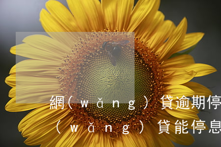 網(wǎng)貸逾期停息掛賬是真的嗎(網(wǎng)貸能停息掛賬)