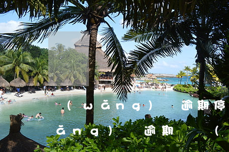 網(wǎng)貸逾期停滯金是什么(網(wǎng)貸逾期凍結(jié)信用卡)