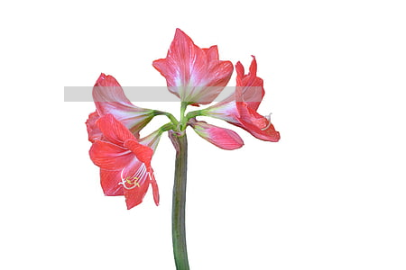 網(wǎng)貸逾期催債會(huì)找上門嗎(網(wǎng)貸如果上門催債怎么辦)
