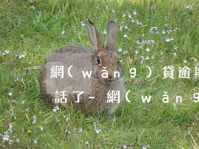 網(wǎng)貸逾期催債電話怎么不打電話了-網(wǎng)貸逾期催債電話怎么不打電話了呢