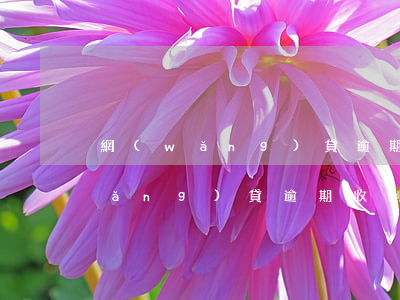 網(wǎng)貸逾期催告怎么處罰(網(wǎng)貸逾期收到催告函)