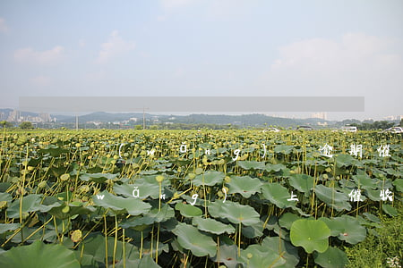網(wǎng)貸逾期催收上門違法嗎(網(wǎng)貸上門催收違法嘛)