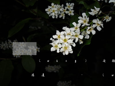 網(wǎng)貸逾期催收不打電話了是在爆通訊錄嗎-網(wǎng)貸催收不打電話了是要起訴了嗎