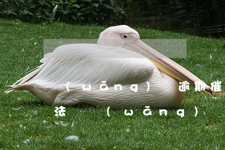 網(wǎng)貸逾期催收打電話給公司合法嗎（網(wǎng)貸逾期催收來(lái)公司了）