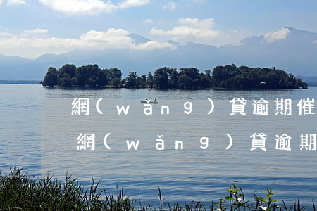 網(wǎng)貸逾期催收會叫警察來嗎-網(wǎng)貸逾期了催收人員暴力催收