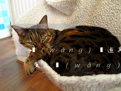 網(wǎng)貸逾期催收會持續(xù)多久(網(wǎng)貸逾期多久會被催收)