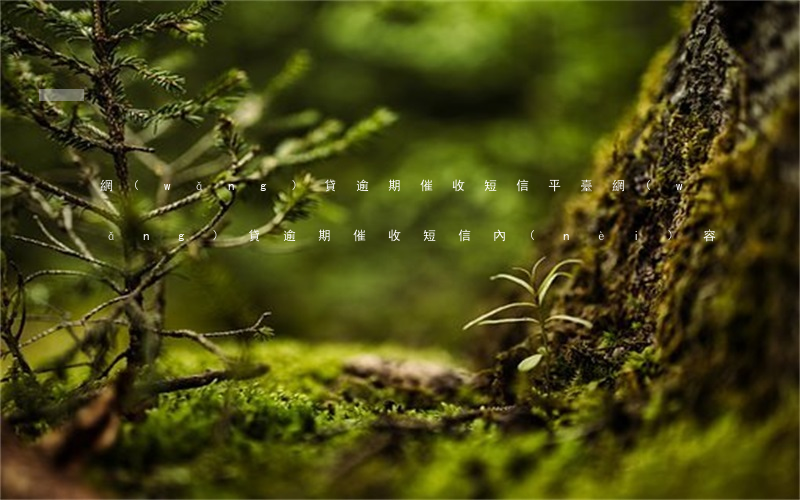 網(wǎng)貸逾期催收短信平臺(網(wǎng)貸逾期催收短信內(nèi)容)