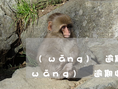 網(wǎng)貸逾期催收短信有哪些(網(wǎng)貸逾期收到的短信)