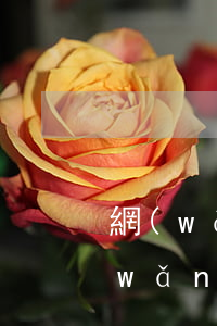 網(wǎng)貸逾期催收罵人怎么辦(網(wǎng)貸催收恐嚇,辱罵怎么處理?)