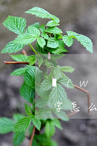 網(wǎng)貸逾期催收還在抖音曝光名字怎么知道的-網(wǎng)貸催收在抖音發(fā)布違法嗎