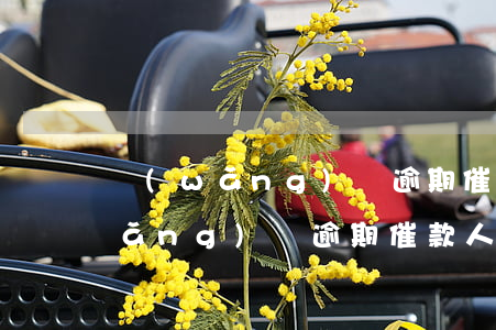網(wǎng)貸逾期催款公司上門(網(wǎng)貸逾期催款人員真的會上門嗎)