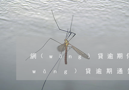 網(wǎng)貸逾期傳真資料到戶籍(網(wǎng)貸逾期通知村委會了叫我回戶籍所在地)