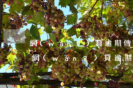 網(wǎng)貸逾期傳票是本地法院寄嗎(網(wǎng)貸逾期傳票是本地法院寄嗎)