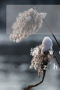 網(wǎng)貸逾期債權(quán)轉(zhuǎn)讓后被起訴怎么辦(網(wǎng)貸逾期債權(quán)轉(zhuǎn)讓是什么意思)