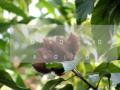 網(wǎng)貸逾期優(yōu)先還利息低(網(wǎng)貸高利貸逾期不還會怎么樣)