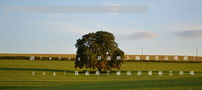網(wǎng)貸逾期入職還可以嗎(網(wǎng)貸逾期了被起訴還能工作嗎)