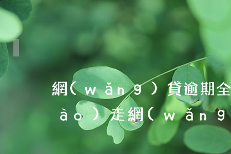 網(wǎng)貸逾期全家檔案被調(diào)走(網(wǎng)貸逾期全家檔案被調(diào)走)