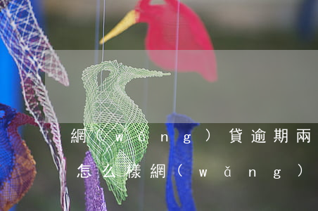 網(wǎng)貸逾期兩三天會(huì)怎么樣(網(wǎng)貸逾期3天會(huì)怎么樣)