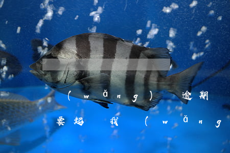 網(wǎng)貸逾期兩個(gè)多月說要起訴我 網(wǎng)貸逾期兩個(gè)月被起訴