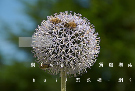 網(wǎng)貸逾期兩個(gè)月會(huì)怎么樣-網(wǎng)貸逾期兩個(gè)月會(huì)怎么樣嗎