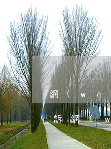 網(wǎng)貸逾期兩個(gè)月被起訴（網(wǎng)貸逾期二個(gè)月收到一條起訴短信）