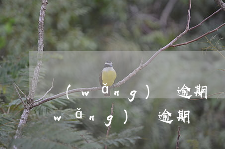 網(wǎng)貸逾期兩個月了怎么辦(網(wǎng)貸逾期兩個月會有什么樣的后果)