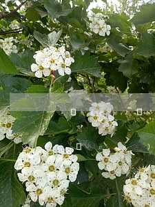 網(wǎng)貸逾期兩個月怕不怕(網(wǎng)貸逾期3個月)