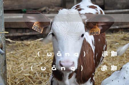 網(wǎng)貸逾期兩個月說法院傳票(網(wǎng)貸逾期兩萬法院會受理嗎?)
