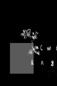 網(wǎng)貸逾期兩千會怎么樣(網(wǎng)貸二千元逾期后果)
