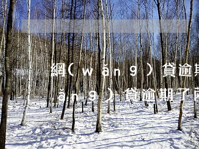 網(wǎng)貸逾期兩天假影響辦(網(wǎng)貸逾期了兩天還了有影響嗎)