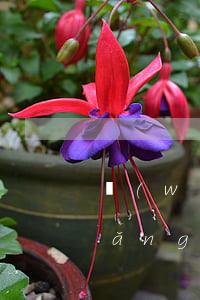 網(wǎng)貸逾期兩天炸通訊錄(網(wǎng)貸逾期兩天會(huì)不會(huì)爆通訊錄)