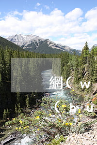 網(wǎng)貸逾期兩小時(shí)會(huì)怎么樣(網(wǎng)貸逾期一個(gè)禮拜會(huì)怎么樣)