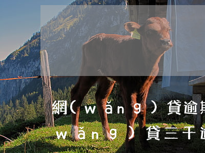 網(wǎng)貸逾期兩年利息多少錢(網(wǎng)貸三千逾期兩年要還多少)