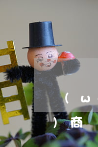 網(wǎng)貸逾期兩年可以協(xié)商嗎(網(wǎng)貸逾期幾年了協(xié)商還本金可以不)